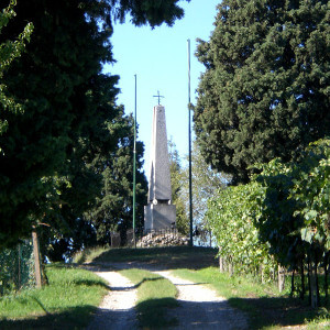 Azienda Agricola Tamburino Sardo